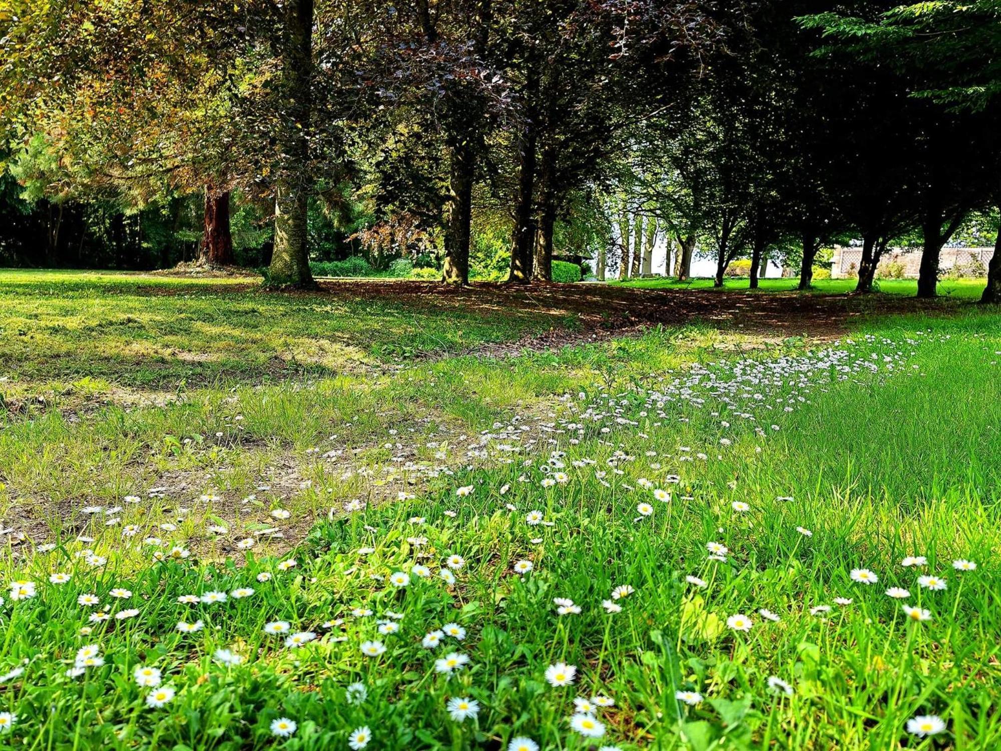 Domaine De L'Isle Maniere Apartment Saint-Quentin-sur-le-Homme Bagian luar foto